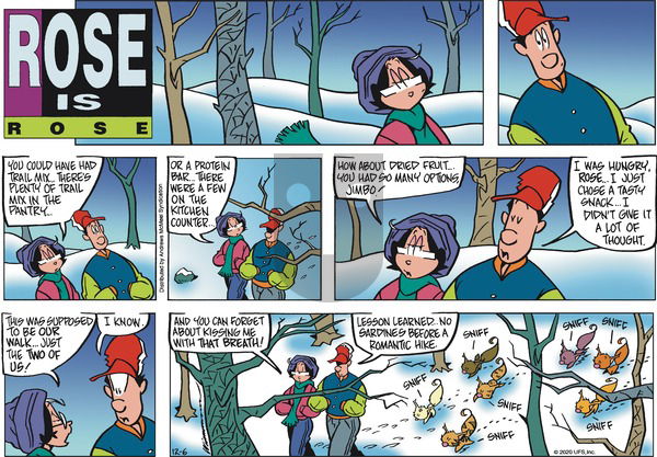 Rose is Rose on Sunday December 6, 2020 Comic Strip