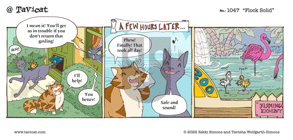 @Tavicat on Monday May 19, 2025 Comic Strip