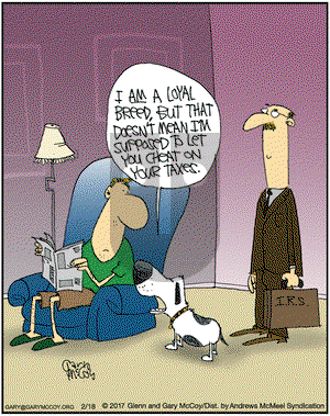 The Flying McCoys on Saturday February 18, 2017 Comic Strip