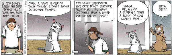 Get Fuzzy on Tuesday March 17, 2009 Comic Strip