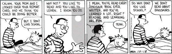 Calvin and Hobbes - Wednesday October 18, 1989 Comic Strip