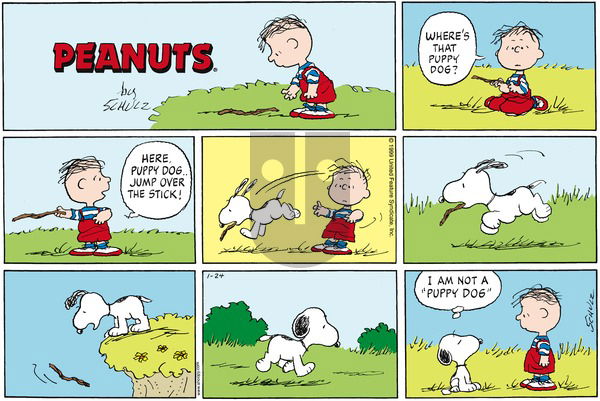 Peanuts on Sunday June 11, 2000 Comic Strip