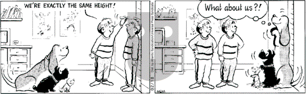 Fred Basset on Monday February 18, 2008 Comic Strip
