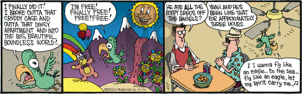 Monty on Tuesday February 9, 2010 Comic Strip