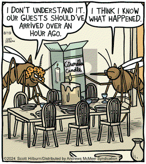 The Argyle Sweater - Monday August 19, 2024 Comic Strip