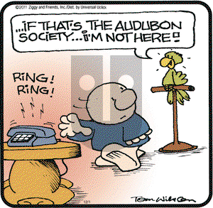 Ziggy on Thursday December 1, 2011 Comic Strip