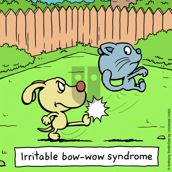 Cattitude — Doggonit - Friday December 13, 2024 Comic Strip