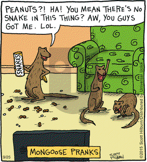 The Argyle Sweater on Friday September 25, 2015 Comic Strip