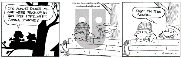 Soup to Nutz - Old on Wednesday December 1, 2004 Comic Strip