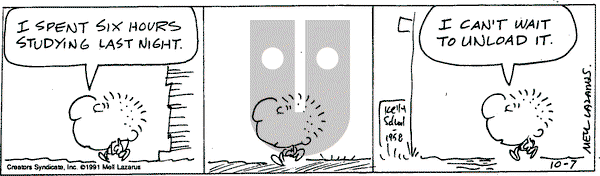 Miss Peach on Monday March 24, 2025 Comic Strip