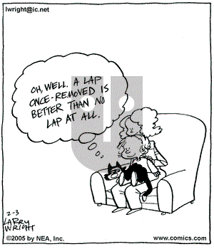 Kit 'N' Carlyle on Thursday February 3, 2005 Comic Strip