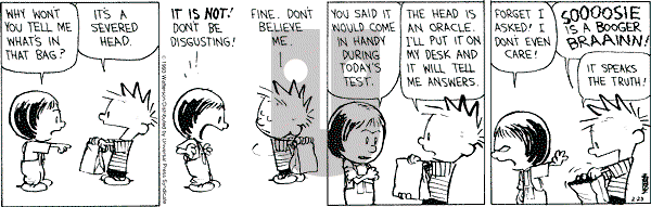 Calvin and Hobbes - Tuesday February 23, 1993 Comic Strip