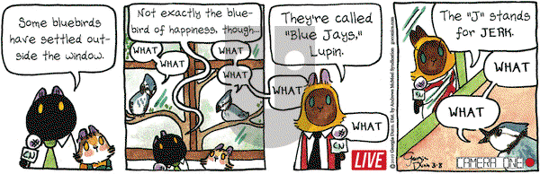 Breaking Cat News on Friday March 8, 2019 Comic Strip