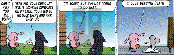 Pearls Before Swine on Friday May 15, 2015 Comic Strip