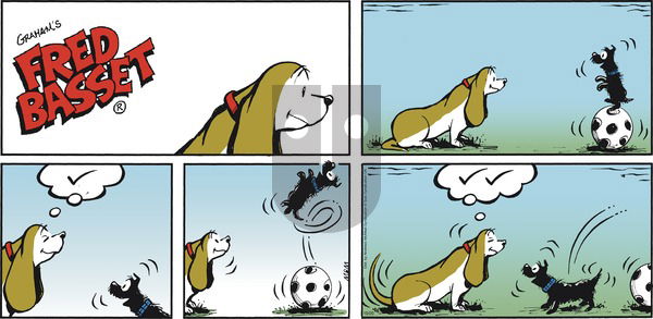 Fred Basset on Sunday October 20, 2019 Comic Strip