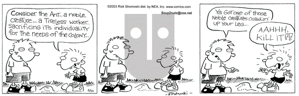 Soup to Nutz - Old on Thursday May 22, 2003 Comic Strip