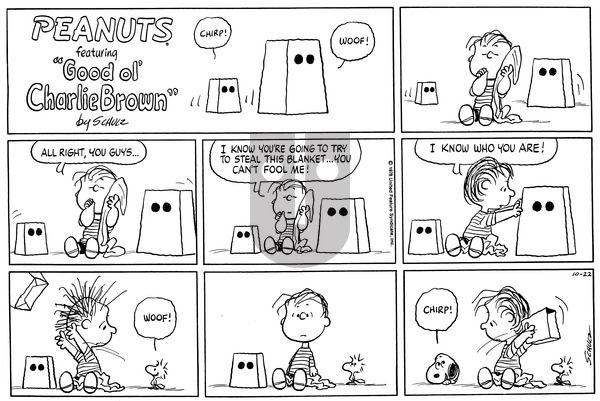 Peanuts on Sunday October 22, 1978 Comic Strip