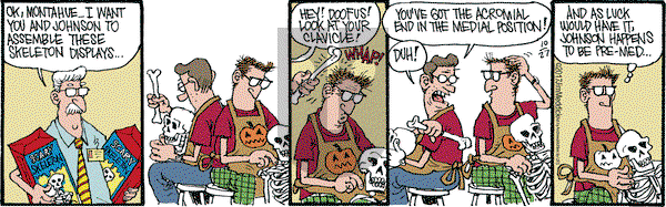 Monty on Friday October 27, 2017 Comic Strip