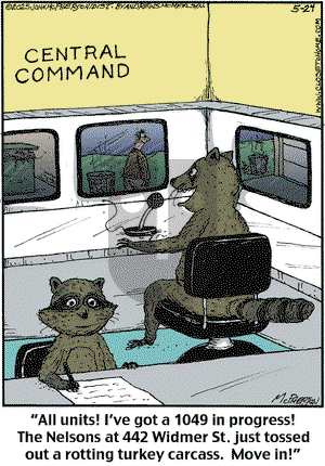 Close to Home on Saturday May 24, 2025 Comic Strip