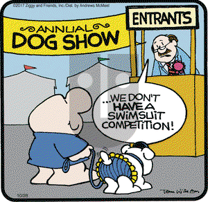 Ziggy on Saturday October 28, 2017 Comic Strip