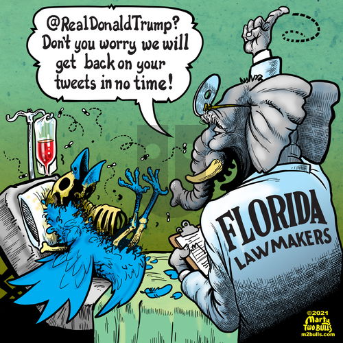 M2Bulls - Thursday May 6, 2021 Comic Strip