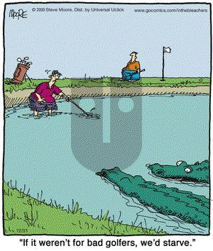 In the Bleachers on Saturday December 31, 2011 Comic Strip