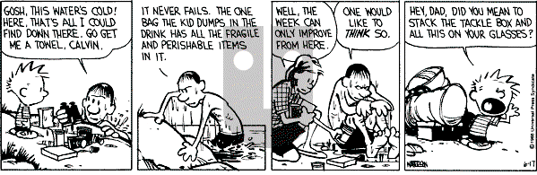 Calvin and Hobbes - Friday June 17, 1988 Comic Strip
