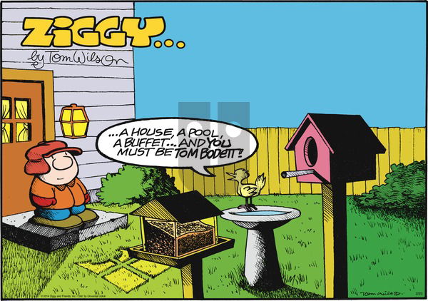 Ziggy - Sunday February 23, 2014 Comic Strip