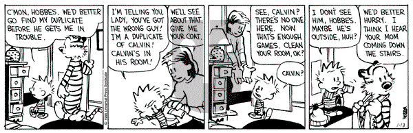 Calvin and Hobbes on Saturday January 13, 1990 Comic Strip