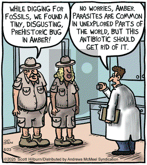 The Argyle Sweater on Monday June 23, 2025 Comic Strip