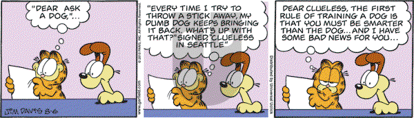 Garfield - Friday August 6, 2010 Comic Strip