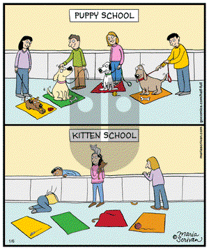 Half Full - Monday January 6, 2014 Comic Strip