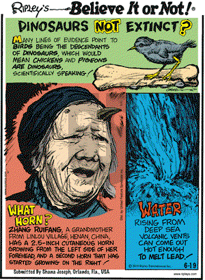 Ripley's Believe It or Not on Saturday June 19, 2010 Comic Strip