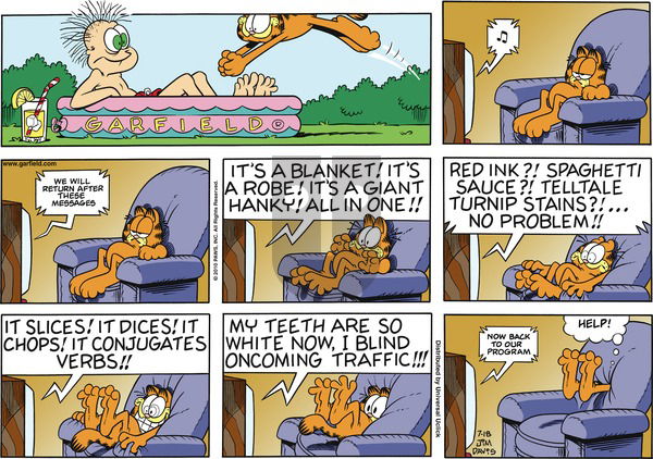 Garfield on Sunday July 18, 2010 Comic Strip