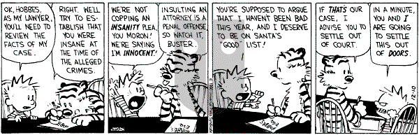 Calvin and Hobbes - Saturday December 10, 1994 Comic Strip