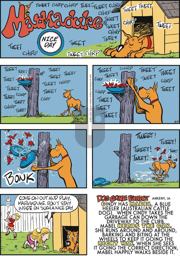Marmaduke on Sunday November 7, 2021 Comic Strip