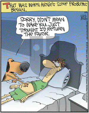 The Flying McCoys on Thursday August 8, 2019 Comic Strip