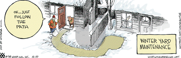 Non Sequitur on Saturday December 29, 2012 Comic Strip