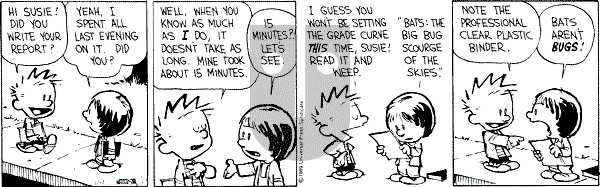 Calvin and Hobbes - Wednesday November 1, 1989 Comic Strip