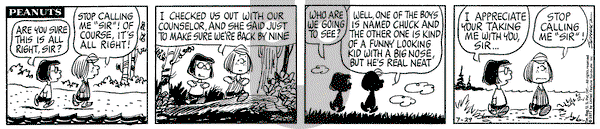 Peanuts on Thursday July 29, 1971 Comic Strip