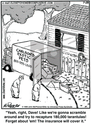 Close to Home on Wednesday July 28, 1999 Comic Strip