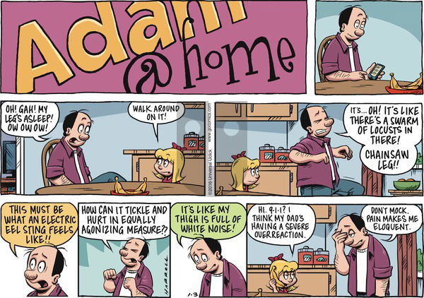Adam@Home on Sunday January 3, 2016 Comic Strip