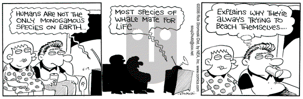 Soup to Nutz - Old on Monday June 19, 2006 Comic Strip