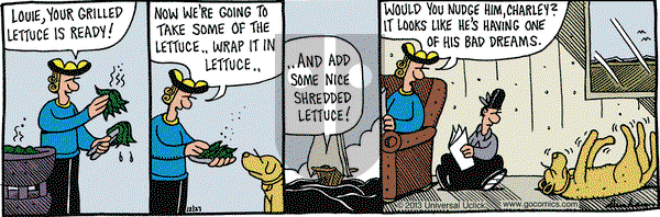 Overboard on Friday December 27, 2013 Comic Strip