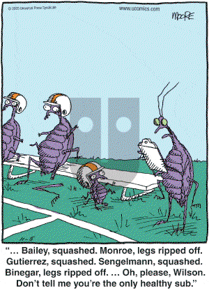 In the Bleachers - Saturday November 5, 2005 Comic Strip