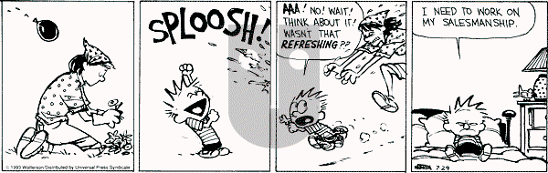 Calvin and Hobbes - Thursday July 29, 1993 Comic Strip