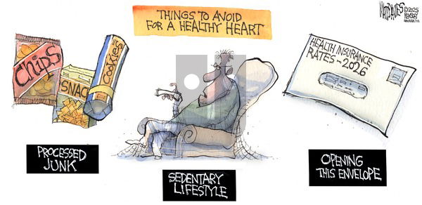 Matt Davies on Sunday November 23, 2025 Comic Strip