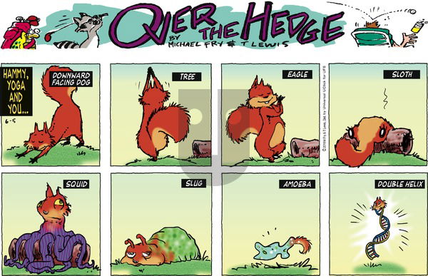 Over the Hedge on Sunday June 5, 2016 Comic Strip