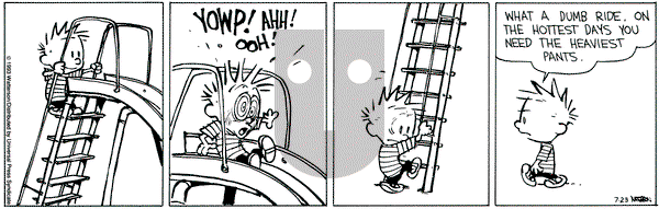 Calvin and Hobbes on Friday July 23, 1993 Comic Strip