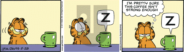 Garfield - Saturday May 28, 2011 Comic Strip